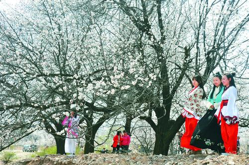 PA视讯国际集团 · 智能视讯解决方案